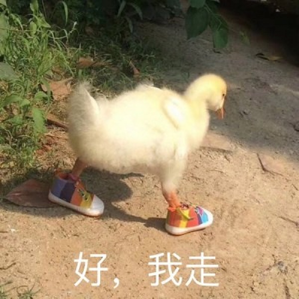 念七 鹅鹅鹅