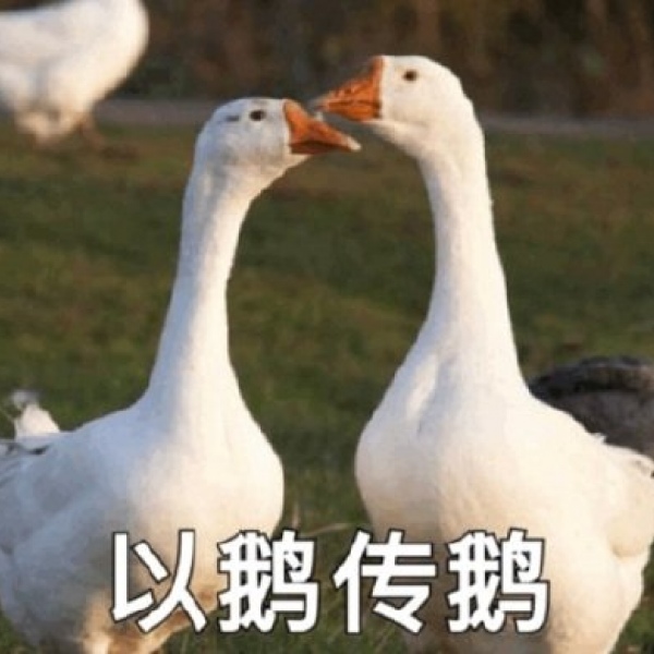 念七 鹅鹅鹅