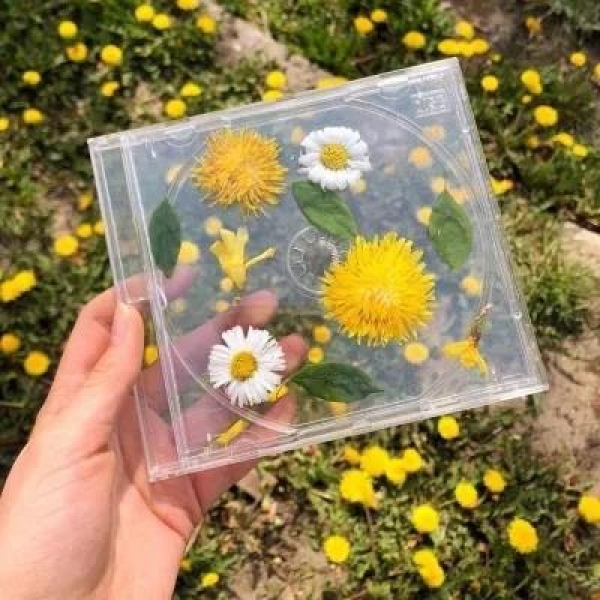 云梓/黄色系风景背景图