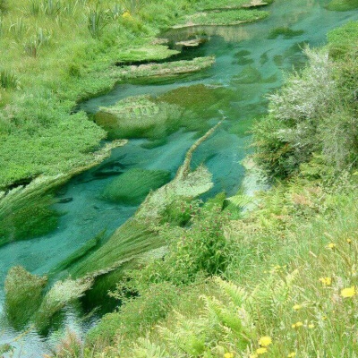 白灏宇:风景静物头像/绿色/花朵/夏日/唯美/小清新