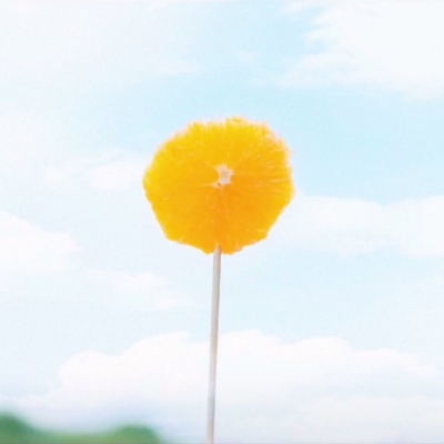 白灏宇:风景静物头像/绿色/花朵/夏日/唯美/小清新