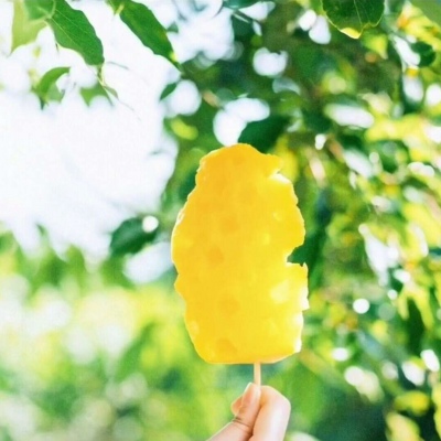 白灏宇:风景静物头像/绿色/花朵/夏日/唯美/小清新