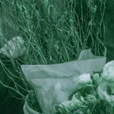白灏宇:风景静物头像/绿色/花朵/夏日/唯美/小清新