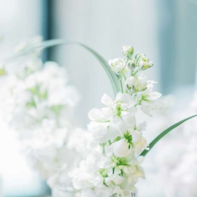白灏宇:风景静物头像/绿色/花朵/夏日/唯美/小清新