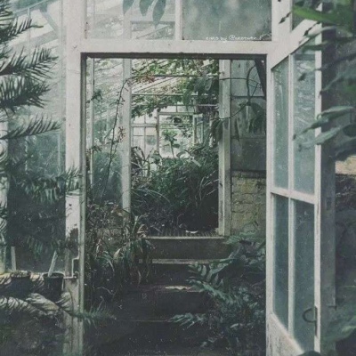 绿色系／背景
