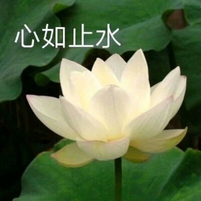 ［温柔词］一群用吗，沙雕闺蜜组