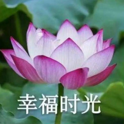 ［温柔词］一群用吗，沙雕闺蜜组