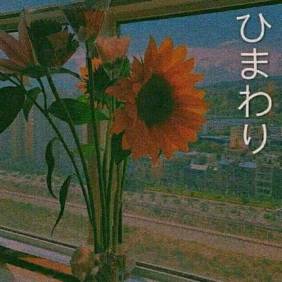 江奕/唯美花朵背景图/拨云见日不见你，未来可期你难遇。