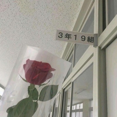 允言/唯美清新意境静物头像   忙碌足以冲淡很多复杂情绪