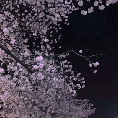 林知晚  ins唯美可爱背景图
