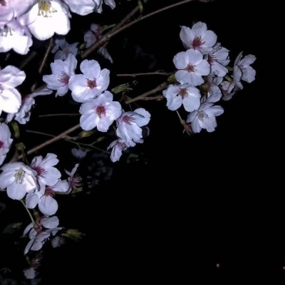 夜幕 深色系静物 伤感朋友圈背景图.