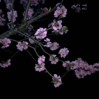 夜幕 深色系静物 伤感朋友圈背景图.