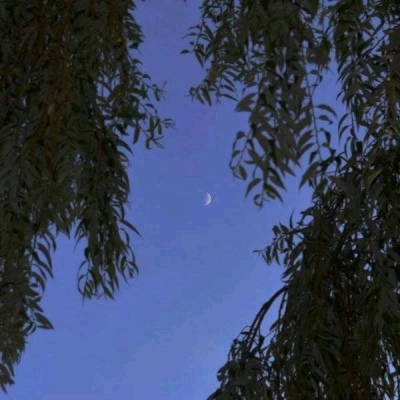 夜幕 深色系静物 伤感朋友圈背景图.