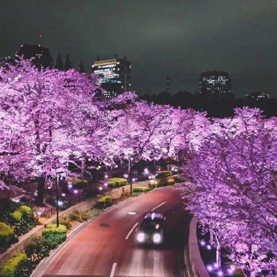 季清 (日本の街並み)