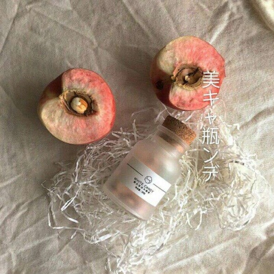 美食静物背景图 你能不能把我的脸当做树  你模仿一下啄木鸟