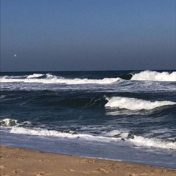 背景图 海