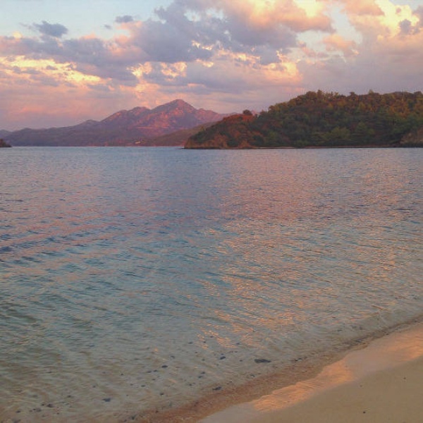 背景图 海