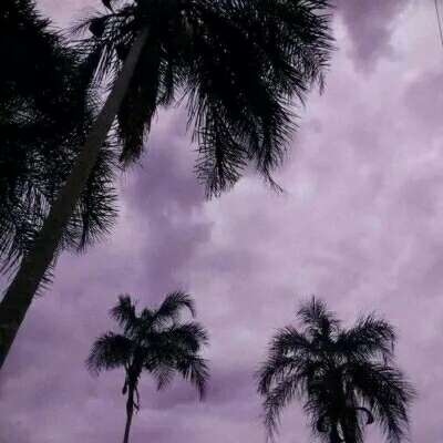 莫稚? 不喜欢你的人 洗澡洗一夜 吃饭吃一天 下午三点醒 八点就晚安