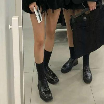 背景图  今日的好运气 捎到了吗