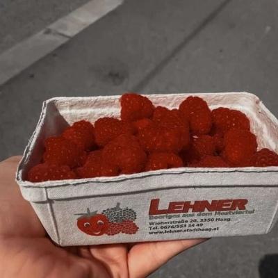 背景图  今日的好运气 捎到了吗