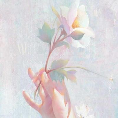 背景图  今日的好运气 捎到了吗