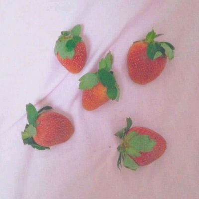 忻忻/哪有什么满眼星辰，分明都是满眼的你