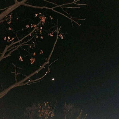 【ins】【风景静物】【唯美意境】【文字】【女生】背景图