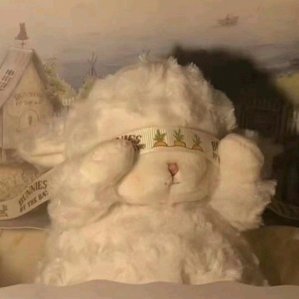 允言/可爱卡哇伊羊羊玩偶     好想遇到一个围着我转的笨蛋