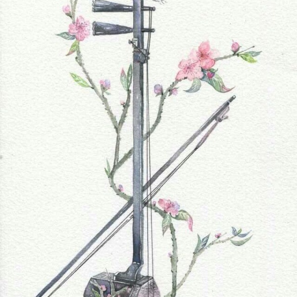 千鹤/古风乐器/你认识哪几个呢