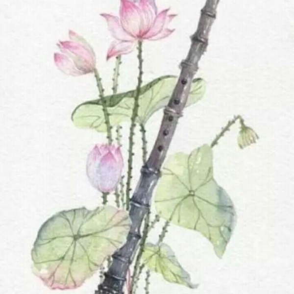千鹤/古风乐器/你认识哪几个呢
