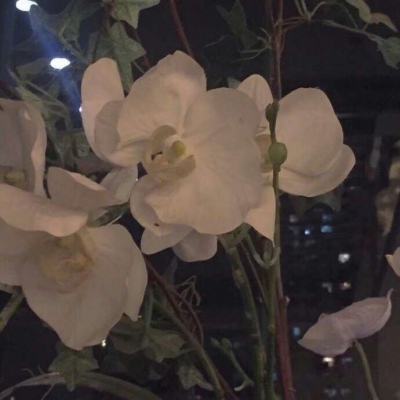 允言/ins风格