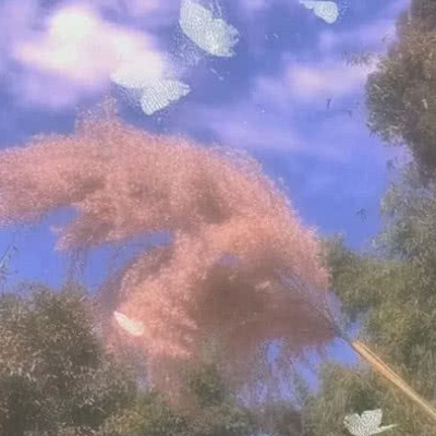 叶樱/超仙背景图