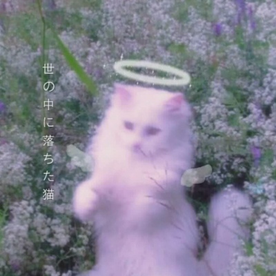 唯美清新系背景图 我裁一段星河以赠你?好教你不逊色这人间错落烟火