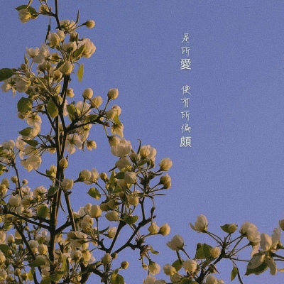 唯美清新系背景图 我裁一段星河以赠你?好教你不逊色这人间错落烟火