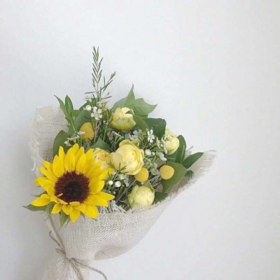 白灏宇:风景静物头像/花朵/唯美