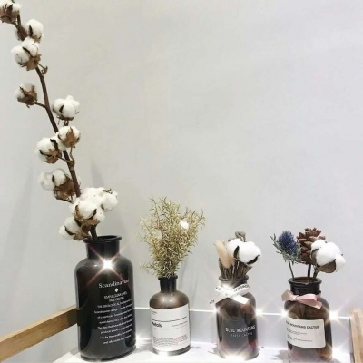 白灏宇:风景静物头像/花朵/唯美