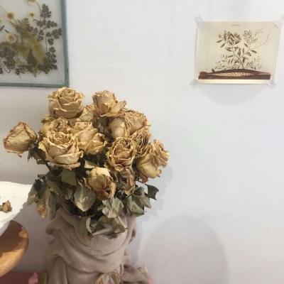 白灏宇:风景静物头像/花朵/唯美