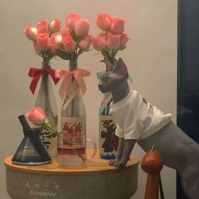 白灏宇:风景静物头像/花朵/唯美