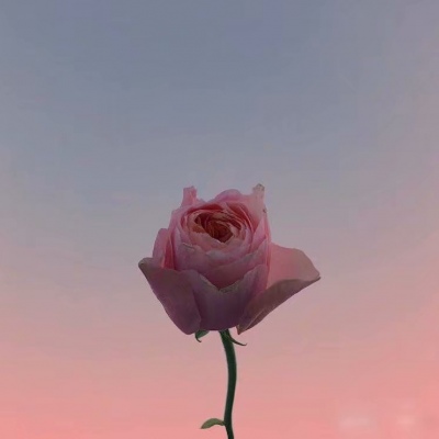 白灏宇:风景静物头像/花朵/唯美