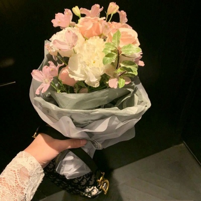 白灏宇:风景静物头像/花朵/唯美
