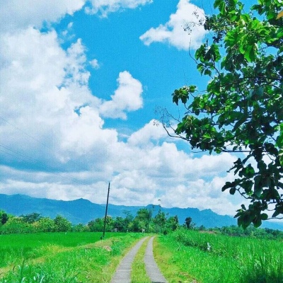 安奈 蓝色清新系背景图