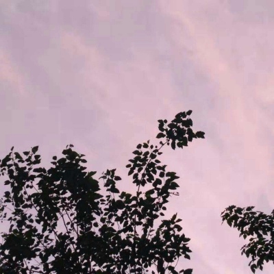 唯美背景图 后来的放弃都是我用眼泪换来的大彻大悟.