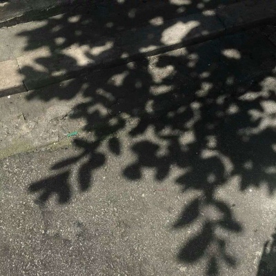 唯美小清新美图