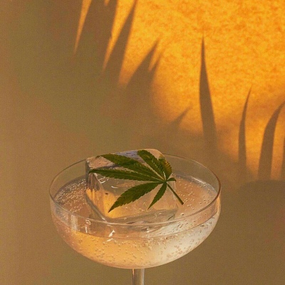 黄色系背景美图（唯美 静物 花 颜色）月牙儿