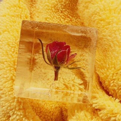 黄色系背景美图（唯美 静物 花 颜色）月牙儿
