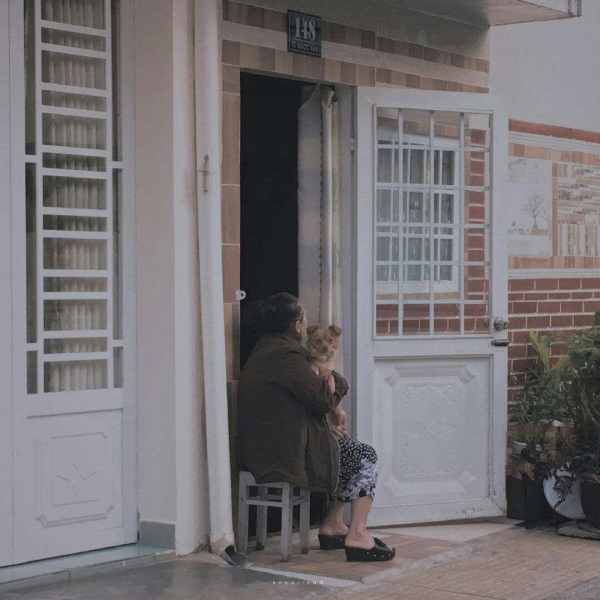 林知晚  ins唯美风景家具背景图