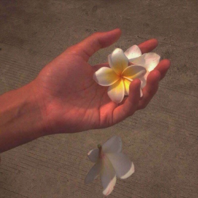〈骚九.〉神仙背景图