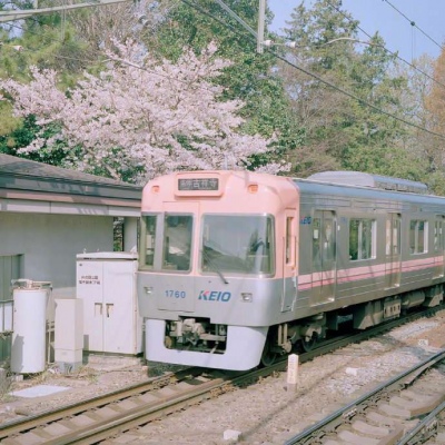 小清新背景图
