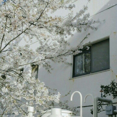 林知晚  小清新夏天背景图