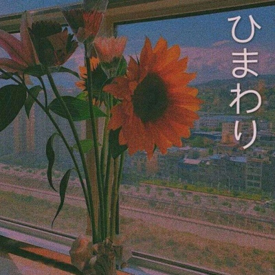 苏苡冉.清新唯美花朵背景图